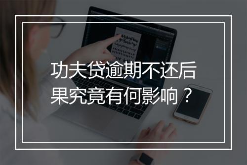 功夫贷逾期不还后果究竟有何影响？
