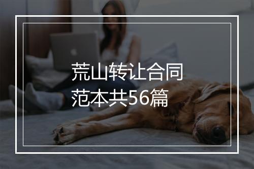 荒山转让合同范本共56篇