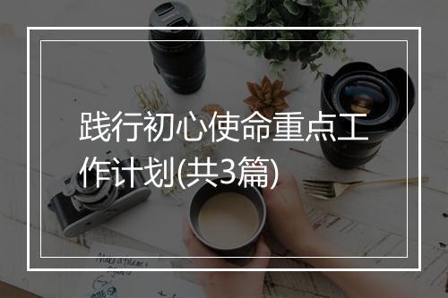 践行初心使命重点工作计划(共3篇)