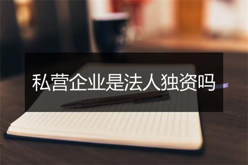 私营企业是法人独资吗