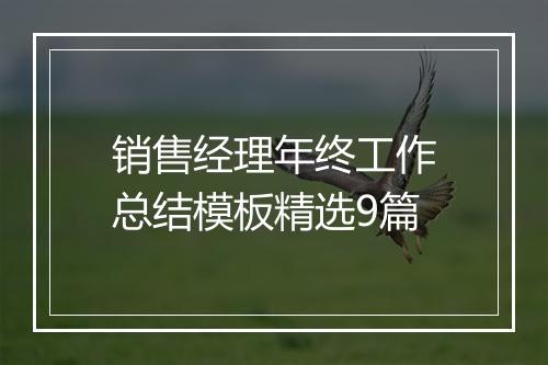 销售经理年终工作总结模板精选9篇