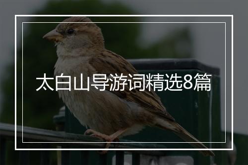 太白山导游词精选8篇