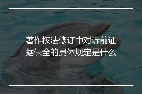 著作权法修订中对诉前证据保全的具体规定是什么