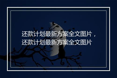 还款计划最新方案全文图片，还款计划最新方案全文图片