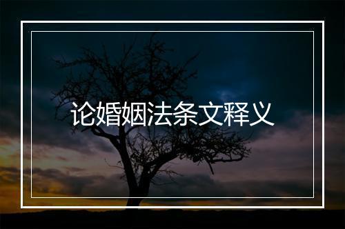 论婚姻法条文释义