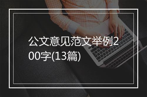 公文意见范文举例200字(13篇)