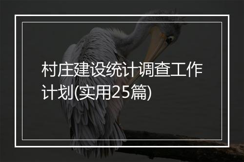 村庄建设统计调查工作计划(实用25篇)
