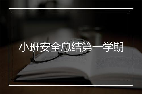 小班安全总结第一学期