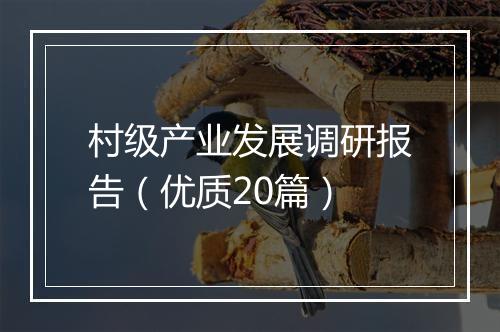 村级产业发展调研报告（优质20篇）