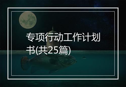 专项行动工作计划书(共25篇)