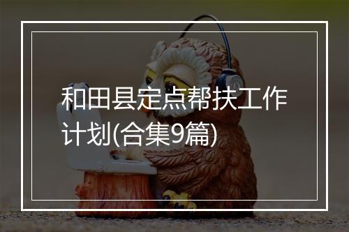 和田县定点帮扶工作计划(合集9篇)