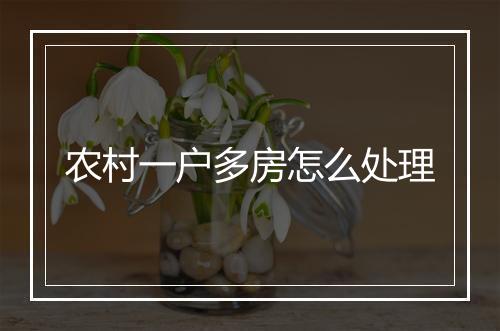 农村一户多房怎么处理