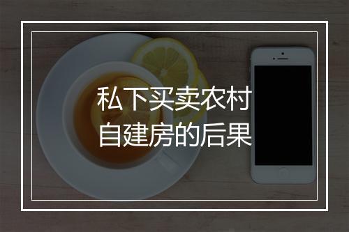 私下买卖农村自建房的后果