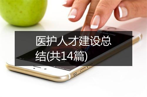 医护人才建设总结(共14篇)