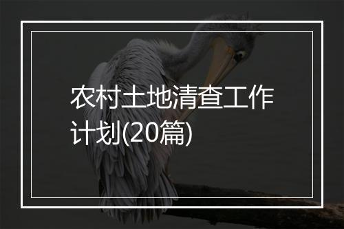农村土地清查工作计划(20篇)