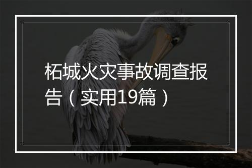 柘城火灾事故调查报告（实用19篇）