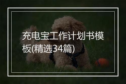 充电宝工作计划书模板(精选34篇)