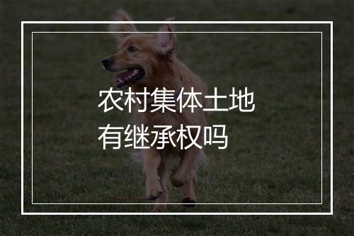 农村集体土地有继承权吗