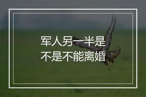 军人另一半是不是不能离婚