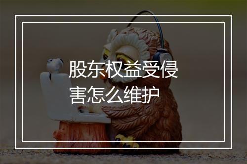 股东权益受侵害怎么维护