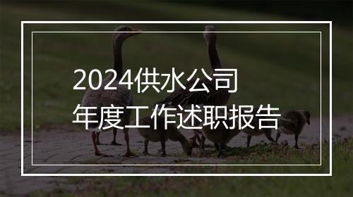 2024供水公司年度工作述职报告