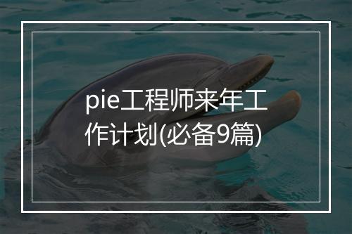 pie工程师来年工作计划(必备9篇)