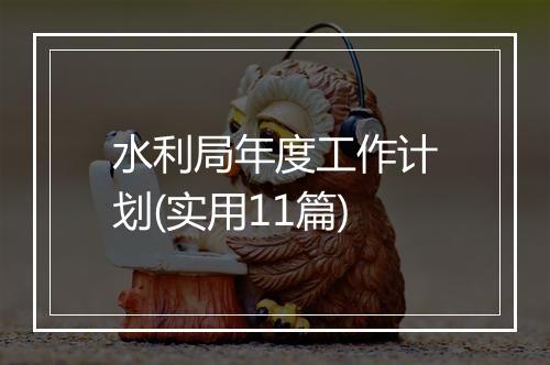水利局年度工作计划(实用11篇)