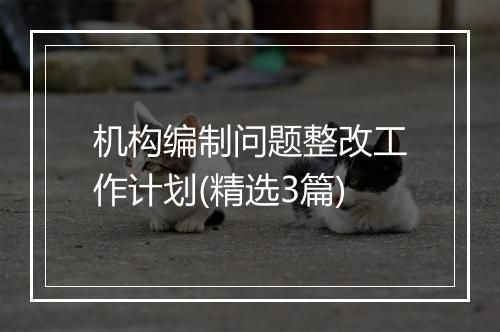 机构编制问题整改工作计划(精选3篇)
