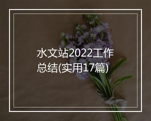 水文站2022工作总结(实用17篇)