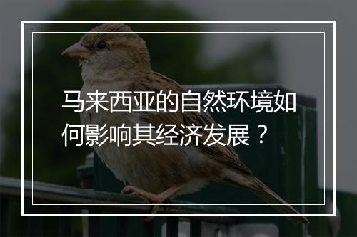 马来西亚的自然环境如何影响其经济发展？