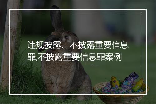 违规披露、不披露重要信息罪,不披露重要信息罪案例