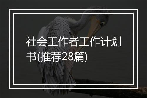 社会工作者工作计划书(推荐28篇)