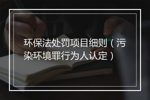 环保法处罚项目细则（污染环境罪行为人认定）