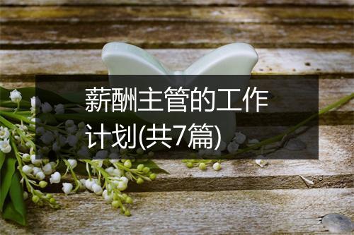 薪酬主管的工作计划(共7篇)