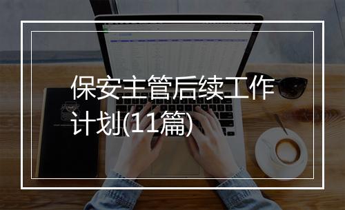 保安主管后续工作计划(11篇)