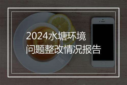 2024水塘环境问题整改情况报告