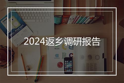 2024返乡调研报告