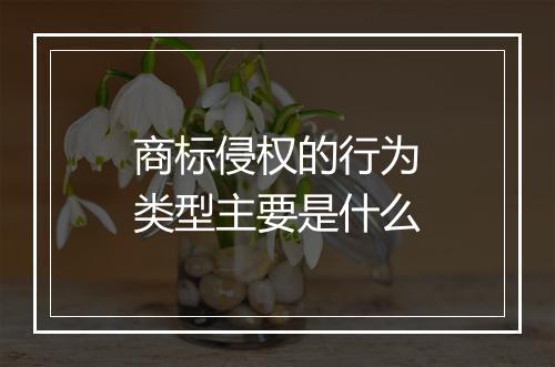 商标侵权的行为类型主要是什么
