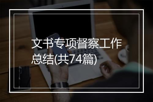 文书专项督察工作总结(共74篇)