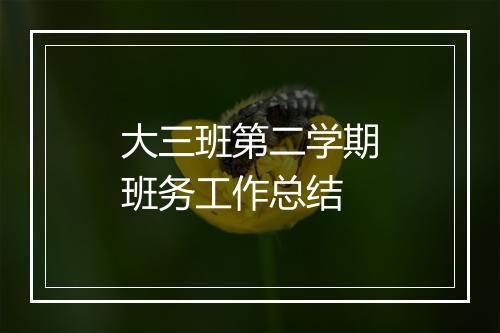 大三班第二学期班务工作总结