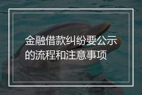金融借款纠纷要公示的流程和注意事项