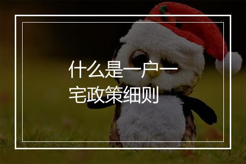 什么是一户一宅政策细则