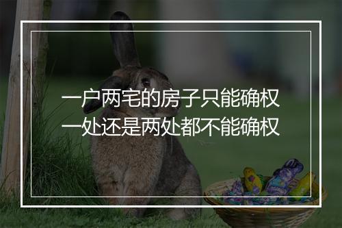 一户两宅的房子只能确权一处还是两处都不能确权