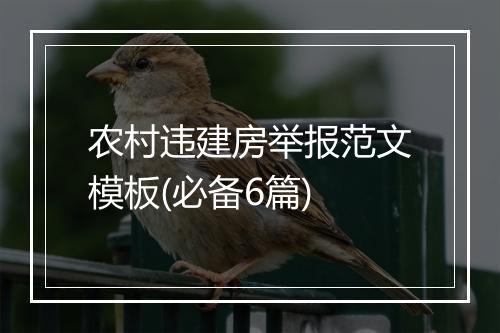 农村违建房举报范文模板(必备6篇)