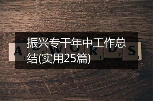 振兴专干年中工作总结(实用25篇)