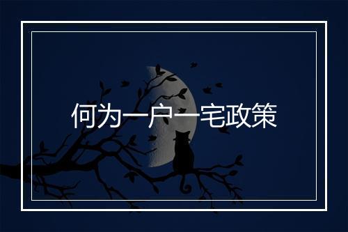 何为一户一宅政策