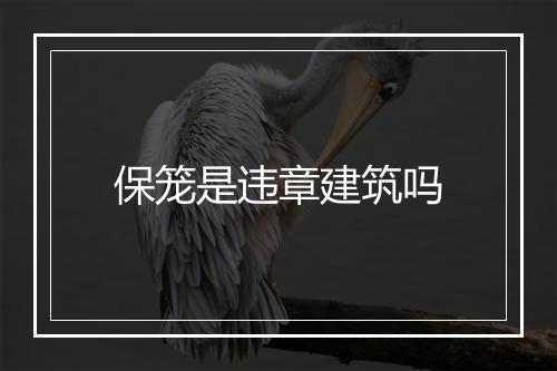 保笼是违章建筑吗