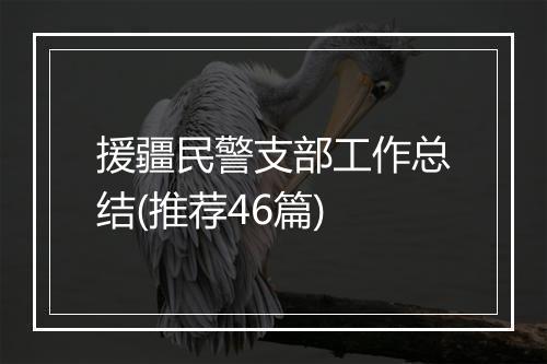 援疆民警支部工作总结(推荐46篇)