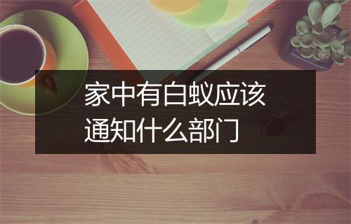 家中有白蚁应该通知什么部门