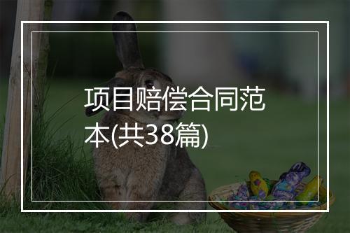 项目赔偿合同范本(共38篇)